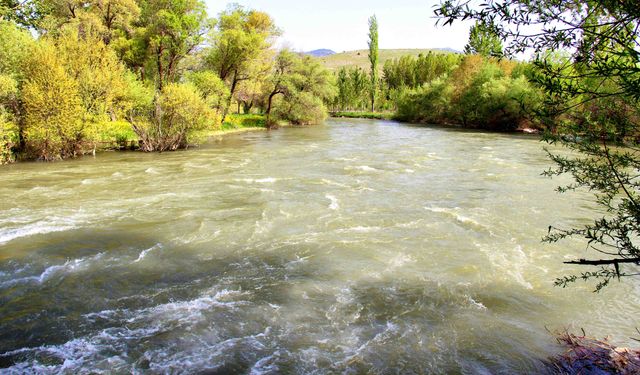 Kahramanmaraş’ta serinlemek isteyenler Göksun Çayı’na