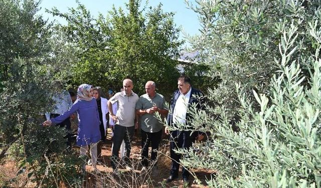 Kahramanmaraş'ta üretimin artırılması için çiftçilere eğitim desteği veriliyor