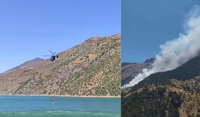 Kahramanmaraş'ta orman yangını söndürüldü