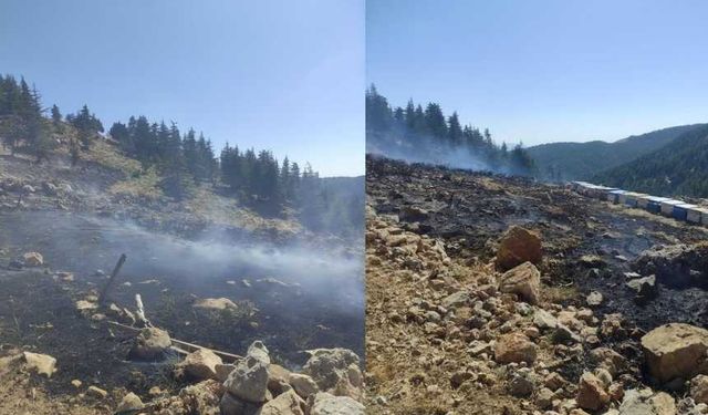 Kahramanmaraş’ta orman yangınları