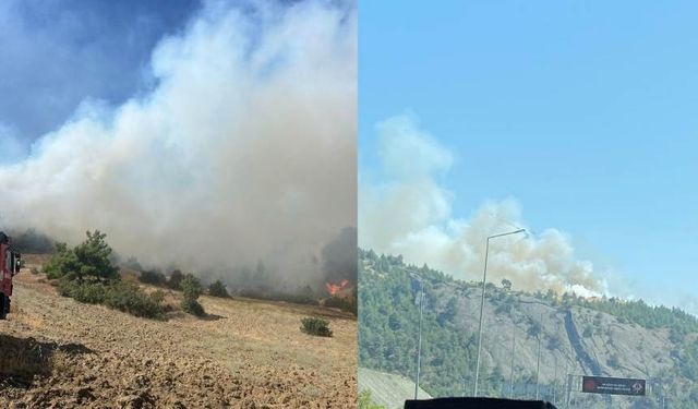 Kahramanmaraş Kürtül Mahallesi'nde Orman Yangını