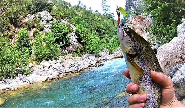 Kahramanmaraş’ta balık tutma yarışması düzenleniyor