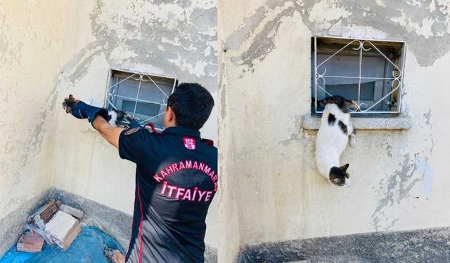 Kahramanmaraş'ta kedi sıkıştığı yerden kurtarıldı