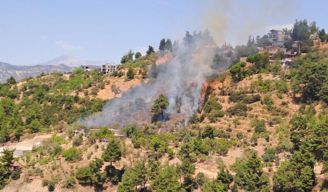 Kahramanmaraş Kazma Bağlarında Orman Yangını