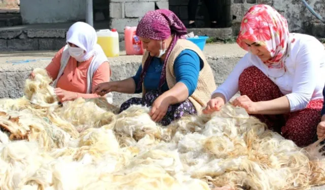 Kahramanmaraş’ın Yüzyıllık Yün Yıkama Geleneği