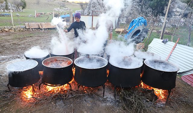 Kış hazırlıklarında şifa kaynağı: Andız Pekmezi