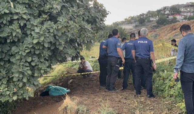 Kahramanmaraş'ta yıldırım isabet eden çoban öldü