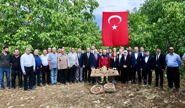 Başkan Toptaş, AB tescilli cevizlerin hasat şenliğine katıldı