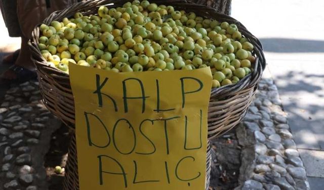 Kalp dostu alıç tezgahlarda yerini aldı, fiyatı dudak uçuklatıyor