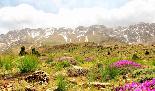 Kahramanmaraş'ta eşsiz manzara; Berit Dağı