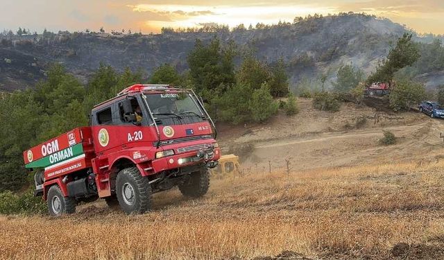 Kahramanmaraş'ta çıkan orman yangını kontrol altına alındı