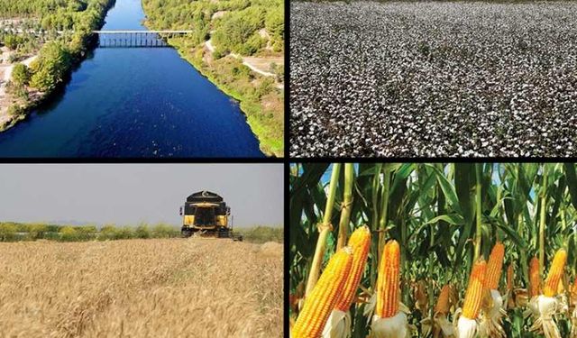 Kahramanmaraş'ın en uzun nehri Çukurova'ya hayat kaynağı oluyor