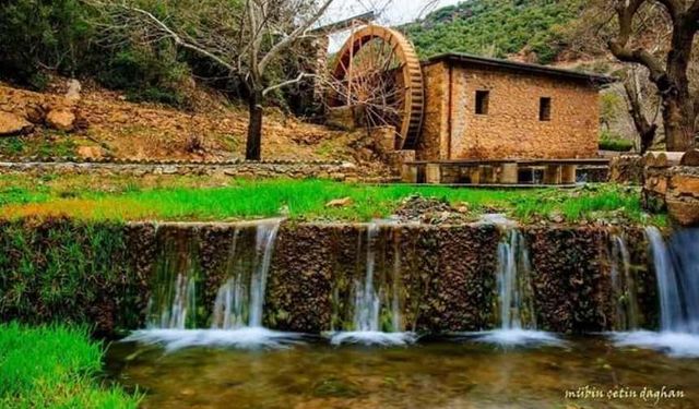 Kahramanmaraş’ta ki o park her yıl binlerce ziyaretçi ağırlıyor