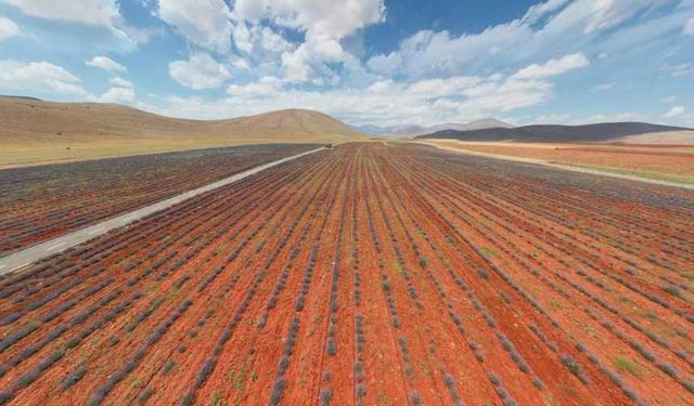 Kahramanmaraş, o konuda dünyada 2.sırada yer alıyor