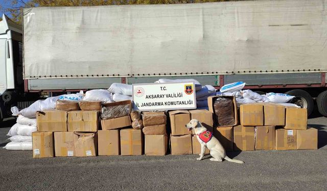 Tırın dorsesinde 1 ton 734 kilo kaçak tütün ele geçirildi