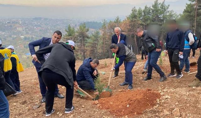 Kahramanmaraş’ta denetimli hükümlüler fidan dikti