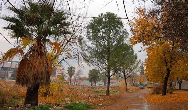 Kahramanmaraş'ta sonbaharda renk cümbüşü