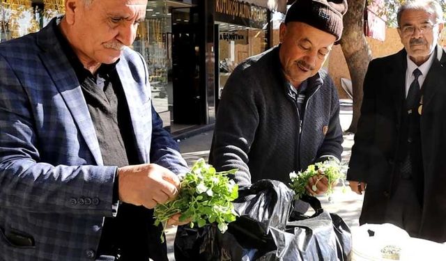 Kahramanmaraş’ın dağlarından şeker hastalarına doğal çözüm