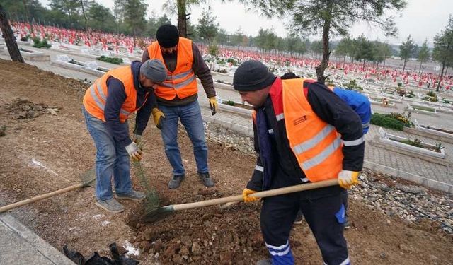 Büyükşehir Kapıçam’da Çevre Düzenleme Çalışmalarını Sürdürüyor