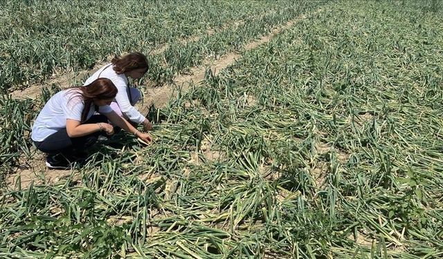 Doğal afetlerden etkilenen çiftçilere destek