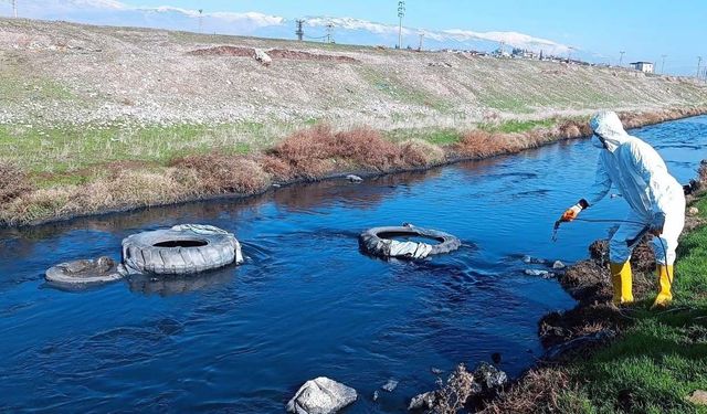 Büyükşehir, Halk Sağlığı İçin Mücadelesini Sürdürüyor