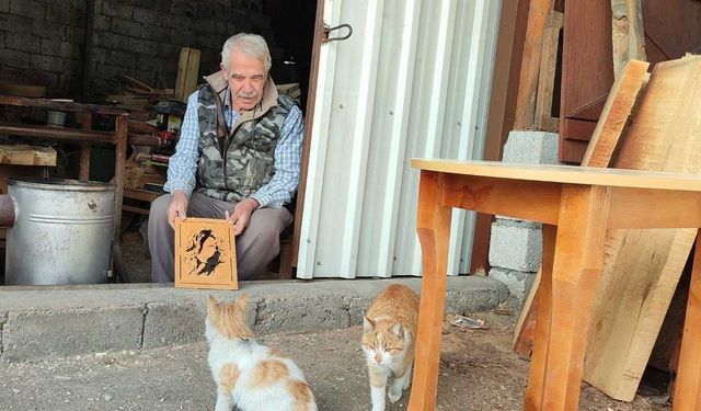 Kahramanmaraş'ta depremden sonra kedilere sahip çıktı