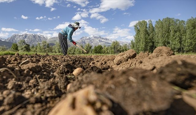 Çiftçilere 3,3 milyar lira destek ödemesi bugün yapılacak