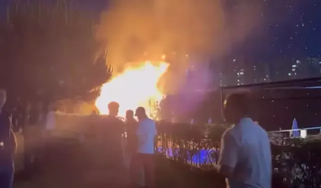 Düğün sırasında atılan havai fişekler parkta yangın çıkardı