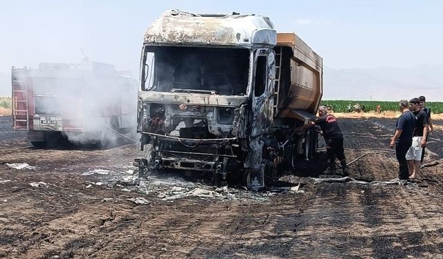 Türkoğlu'nda anız yangını milyonluk tırı kül etti