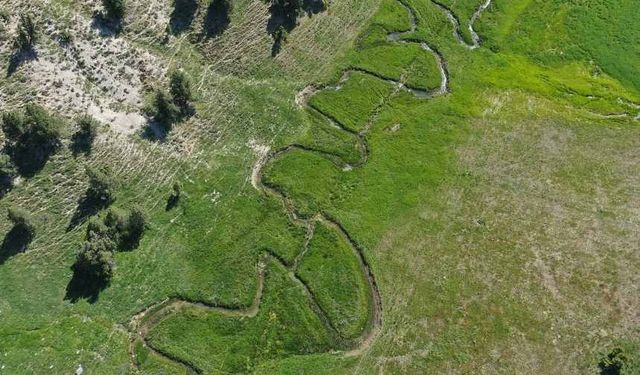 Kahramanmaraş'ın milli parkında ekoturizmin canlanması bekleniyor