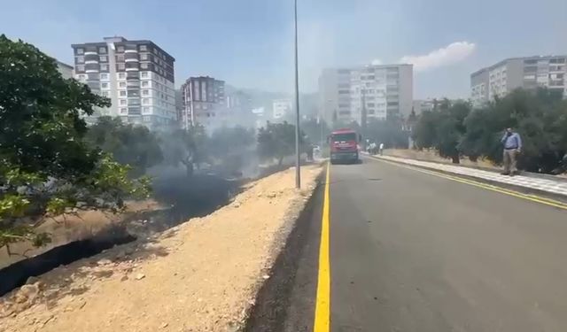 Kahramanmaraş’ta zeytin bahçesinde çıkan yangın söndürüldü