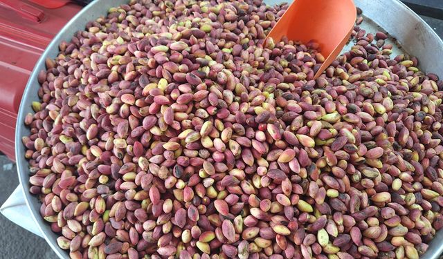 Kahramanmaraş’ta yeni hasat tezgâhta, fiyatı cep yakıyor