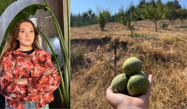Kahramanmaraş’ta kadın girişimciler tarımda gücünü gösteriyor