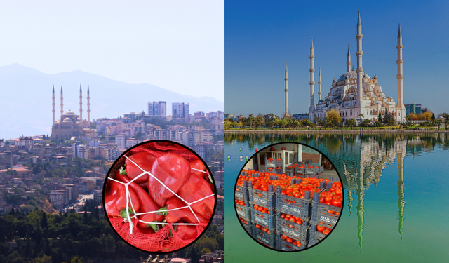 Salçalık ürünler Kahramanmaraş’ta pahalı, Adana’da ucuz