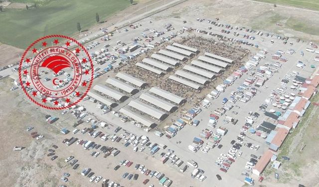 24 ildeki hayvan pazarları yeniden açıldı! Peki Kahramanmaraş’ta