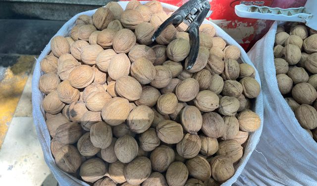 Kahramanmaraş’ta Ceviz Fiyatları Yükseldi