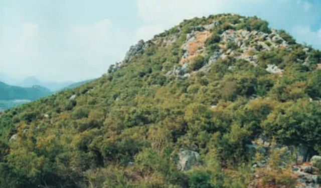 Kahramanmaraş’ın tarihi hazinesi: Yılan Kale
