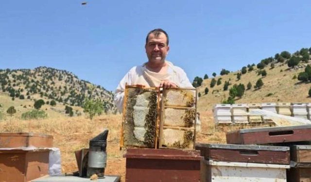 Kahramanmaraş Yaylalarında Bal Hasadı Devam Ediyor