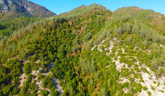 Kahramanmaraş’ta erken sonbahar manzarası