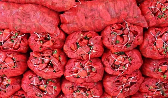Kahramanmaraş’ta 2025 yılı salçalık biber fiyatları