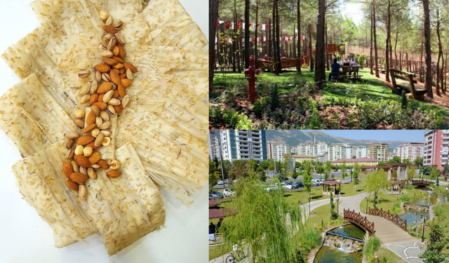 Kahramanmaraş’ta firik keyfi yapılacak en popüler parklar
