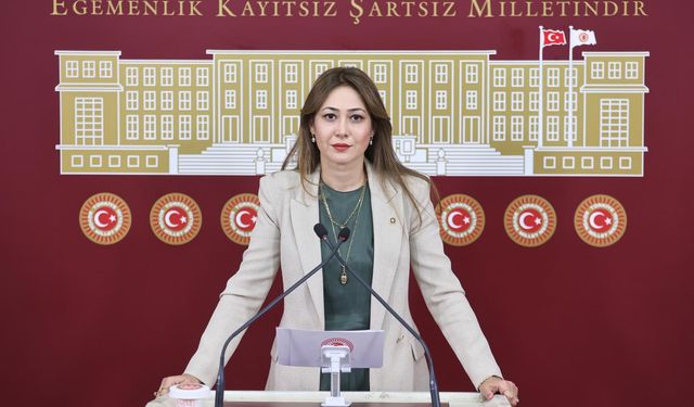 MHP Milletvekili Karakoç Dora: “İtfaiyecilerimiz şehit ve gazi statüsüne kavuşturulmalı”