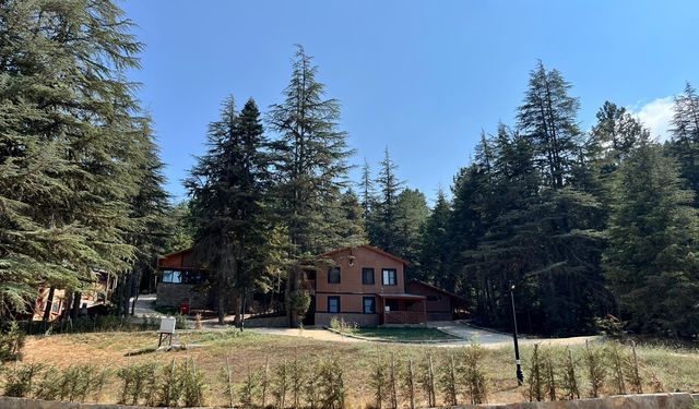 Doğayla iç içe huzurun adresi: Başkonuş Yaylası