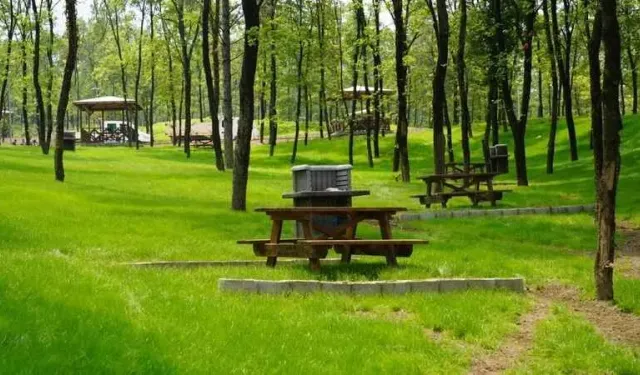 Kahramanmaraş’ta orman parkı 20 yıllığına kiraya verilecek