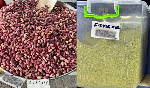 Kahramanmaraş’ta Taze Fıstık Ucuzladı, Fıstık İçi Cep Yakıyor