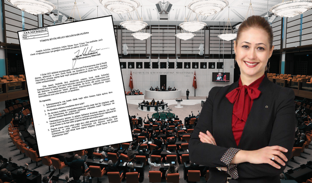 Milletvekili Karakoç, orta hasarlı binalardaki hak ihlallerini meclise taşıdı