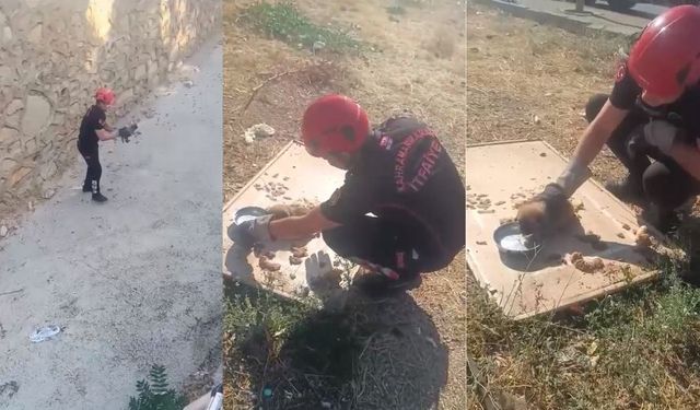 Kahramanmaraş’ta kanala düşen yavru köpek kurtarıldı