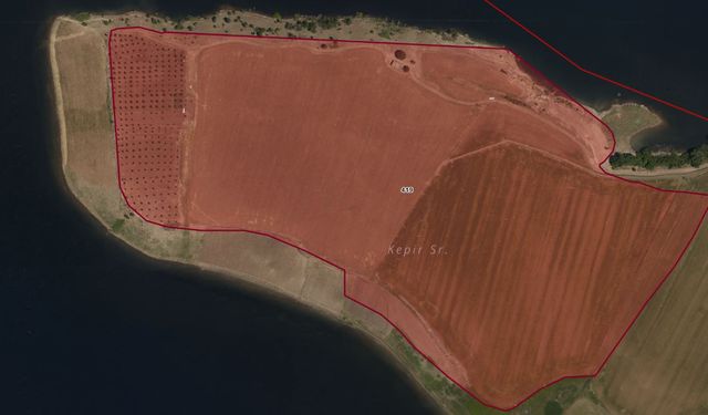 Onikişubat’ta tarla ve zeytinlik satışa çıkıyor