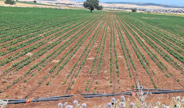 Kahramanmaraş, en fazla sulama projesi onaylanan il oldu