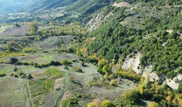 Kahramanmaraş’ta Ormanlar Renk Cümbüşüne Büründü
